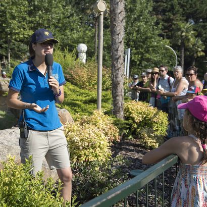 Animation pédagogique avec médiateur - Animation du ZooParc de Beauval