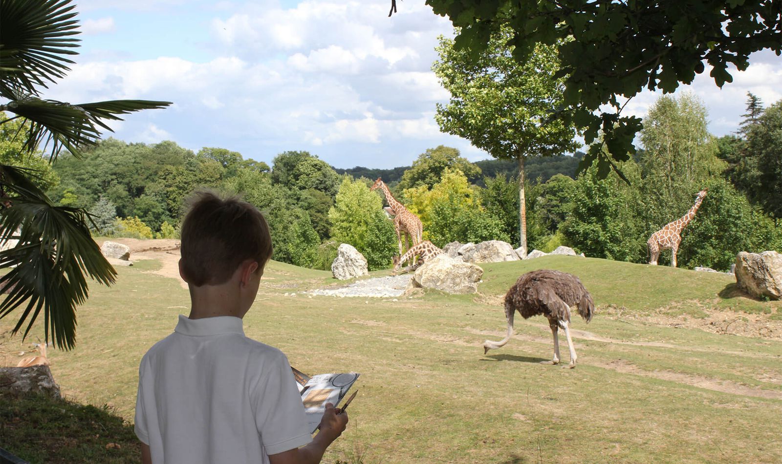 Carnet de jeux au bord de La Savane Africaine - Activités du ZooParc de Beauval