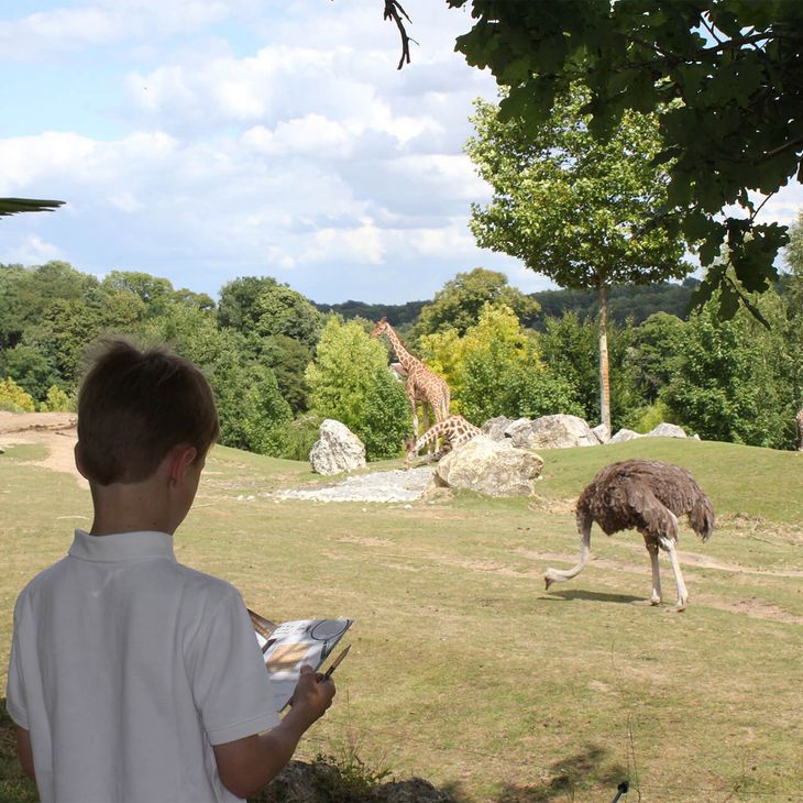 Carnet de jeux au bord de La Savane Africaine - Activités du ZooParc de Beauval