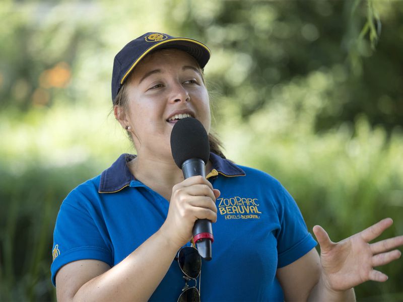 Animations pédagogiques avec médiateur - Animations du ZooParc de Beauval