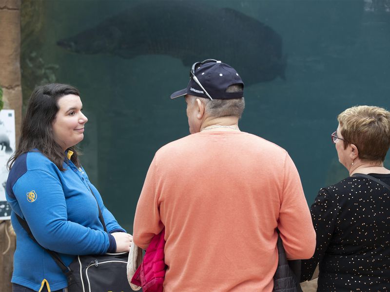 Visite guidée avec médiateur - Activités du ZooParc de Beauval