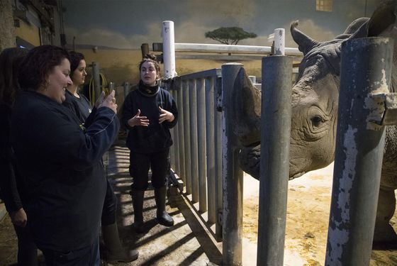 Activité Soigneur d'un Jour