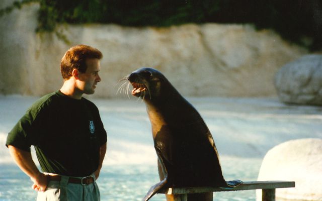 Spectacle d'otaries - L'histoire du ZooParc