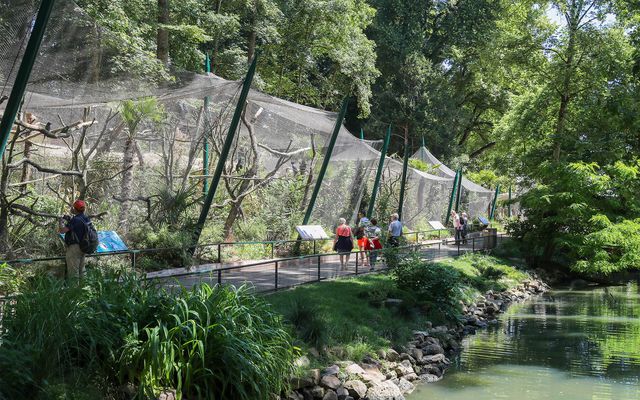 Installation des nouvelles volières - Histoire - ZooParc de Beauval
