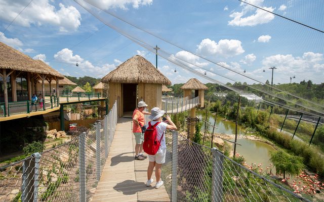 La Grande Volière Sud-Américaine - Territoire - ZooParc de Beauval