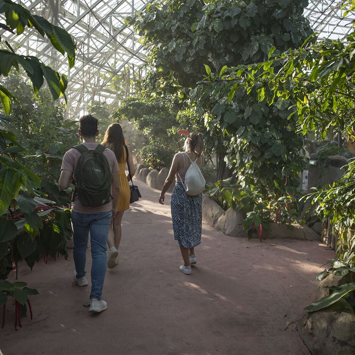 Venir à Beauval par tous les temps - ZooParc de Beauval