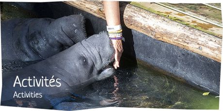 Activité Soigneur d'un Jour