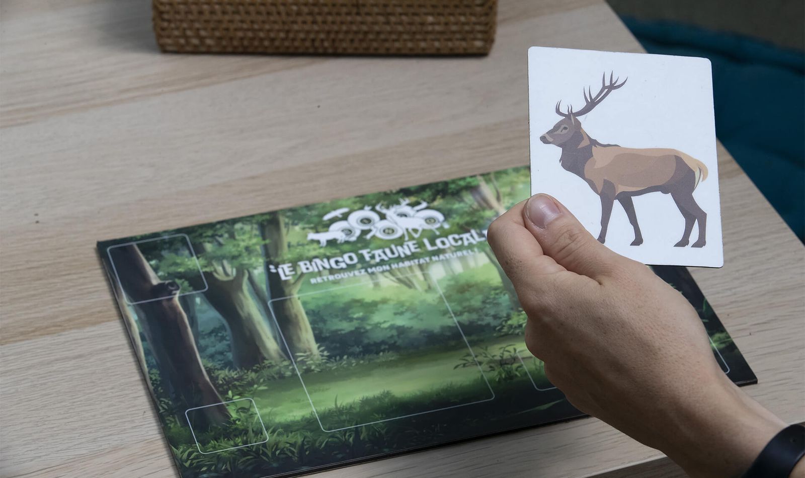 Activités payantes à la Maison Beauval Nature - ZooParc de Beauval