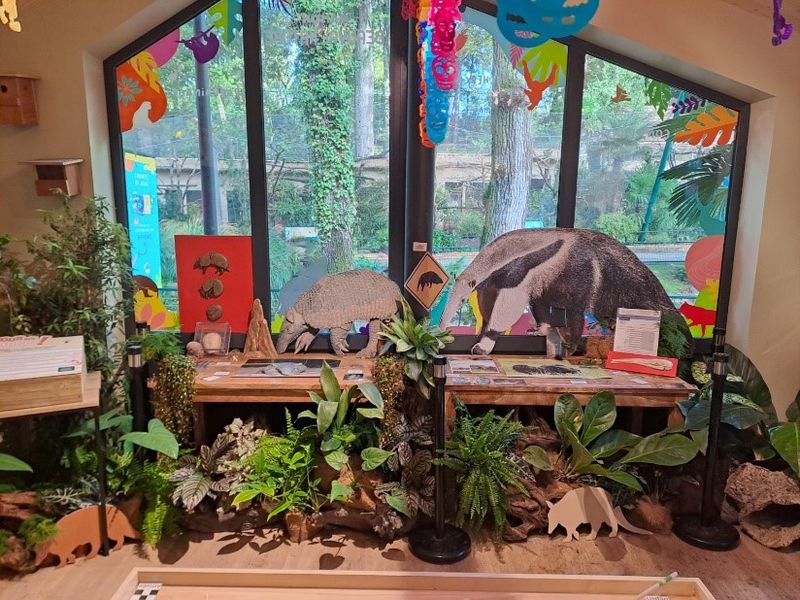 Activités semaine de l'Amérique du Sud - Maison Beauval Nature - ZooParc de Beauval