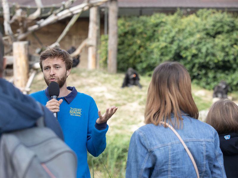 Animations pédagogiques - Venir en famille - Saison automne - ZooParc de Beauval