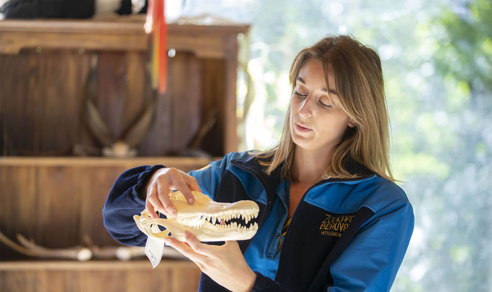 Apprendre en s'amusant - Activité pédagogique - ZooParc de Beauval