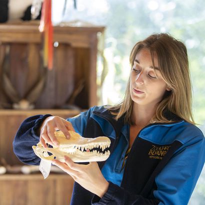 Apprendre en s'amusant - Activité pédagogique - ZooParc de Beauval