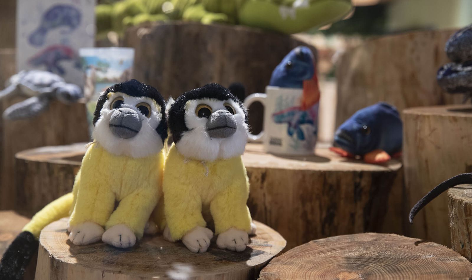 Acheter un souvenir - Boutiques du ZooParc de Beauval