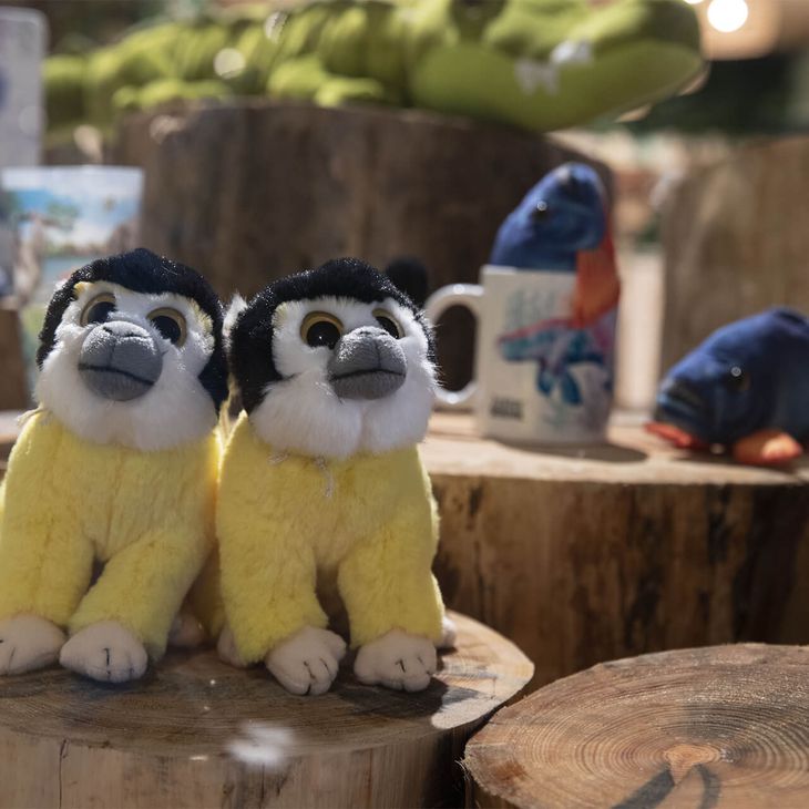 Acheter un souvenir - Boutiques du ZooParc de Beauval