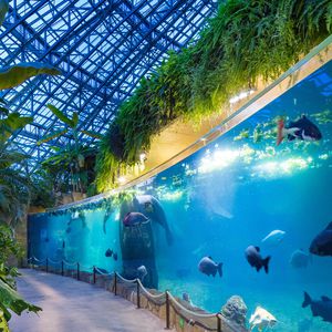 Le Dôme Équatorial Intérieur - Territoire du ZooParc de Beauval