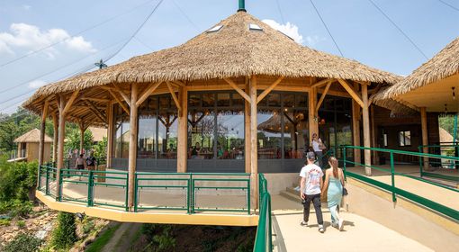 Se restaurer - Le Flamingo - ZooParc de Beauval