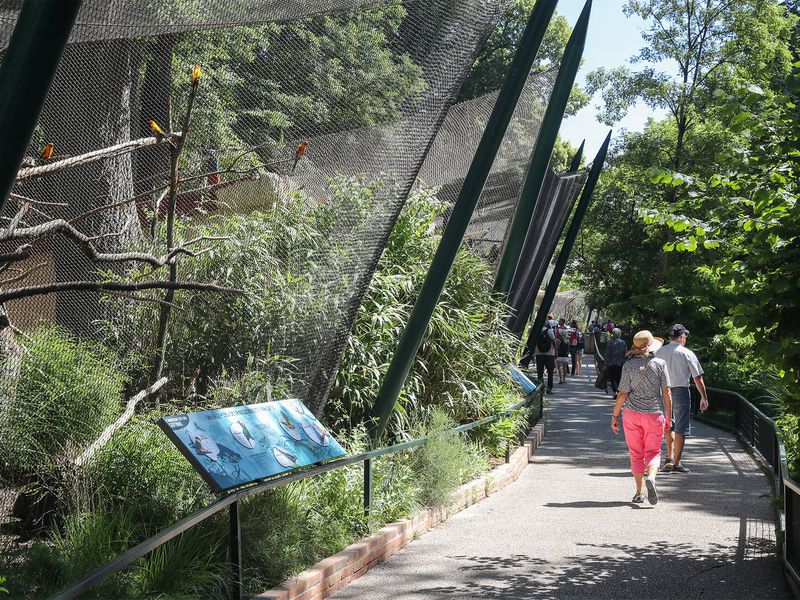 Nouvelles volières - Les animaux de La Rotonde des Perroquets - ZooParc de Beauval