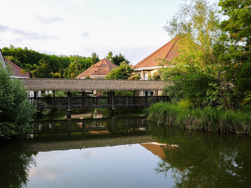 Option flex - Séjourner dans les Hôtels du ZooParc de Beauval