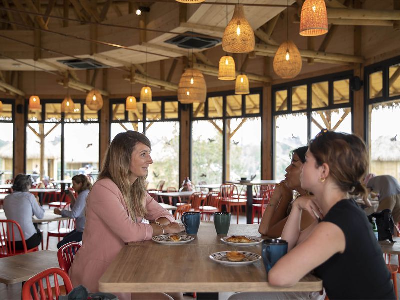 Pause déjeuner - Venir en famille - Saison automne - ZooParc de Beauval