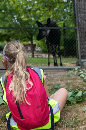 Découverte du ZooParc - Activités junior Premiers pas de Soigneur - ZooParc de Beauval