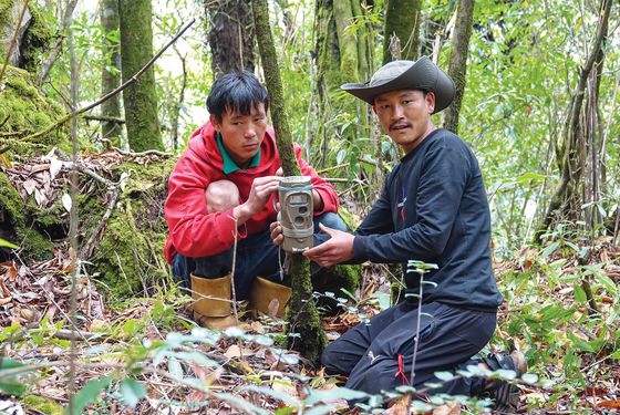 Programme Beauval Nature au Népal - Association Beauval Nature - ZooParc de Beauval