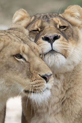 Acheter un billet - Billet 2 jours