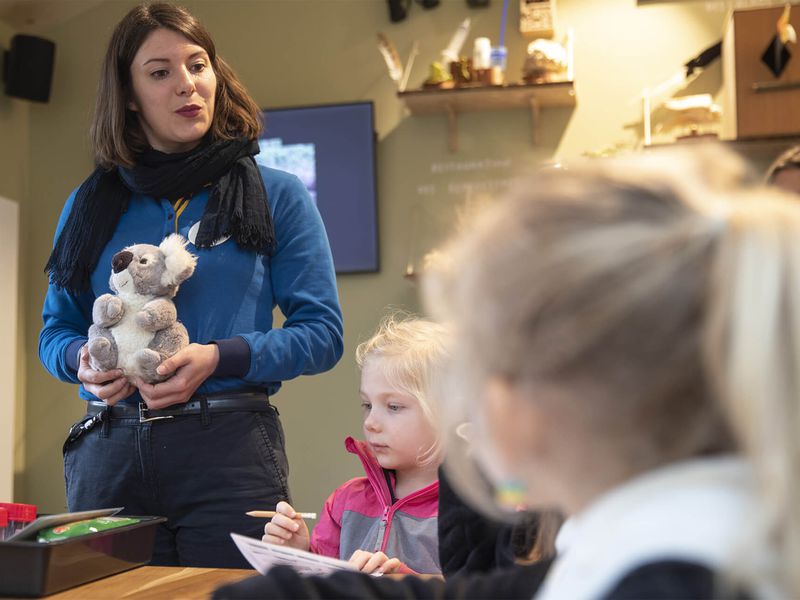 Activité sauvons les koalas - Maison Beauval Nature - ZooParc de Beauval