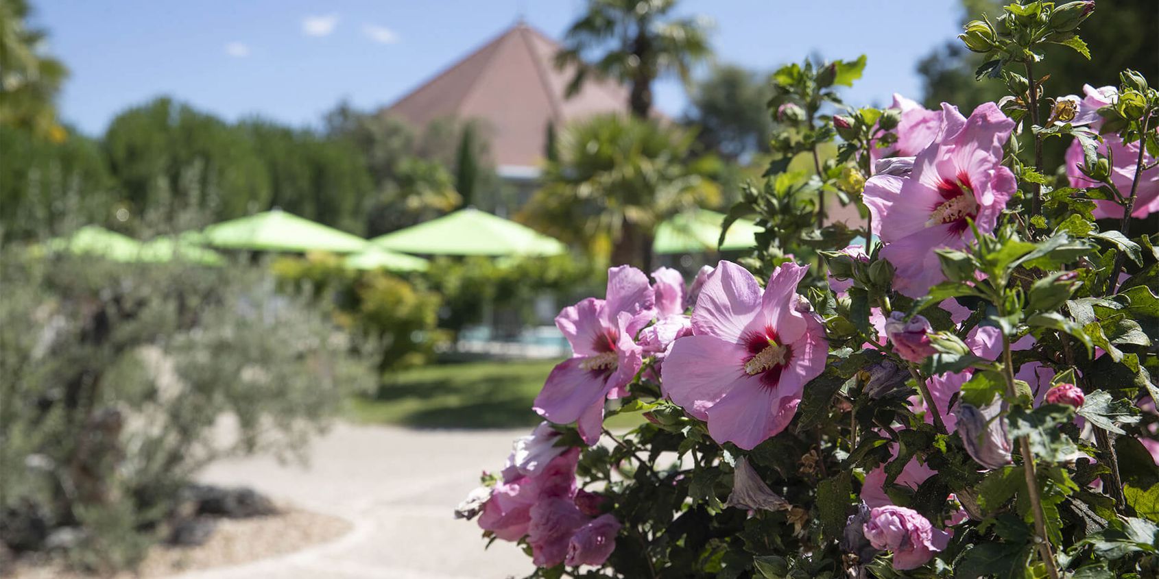 Séjourner aux Jardins de Beauval - Les hôtels de Beauval