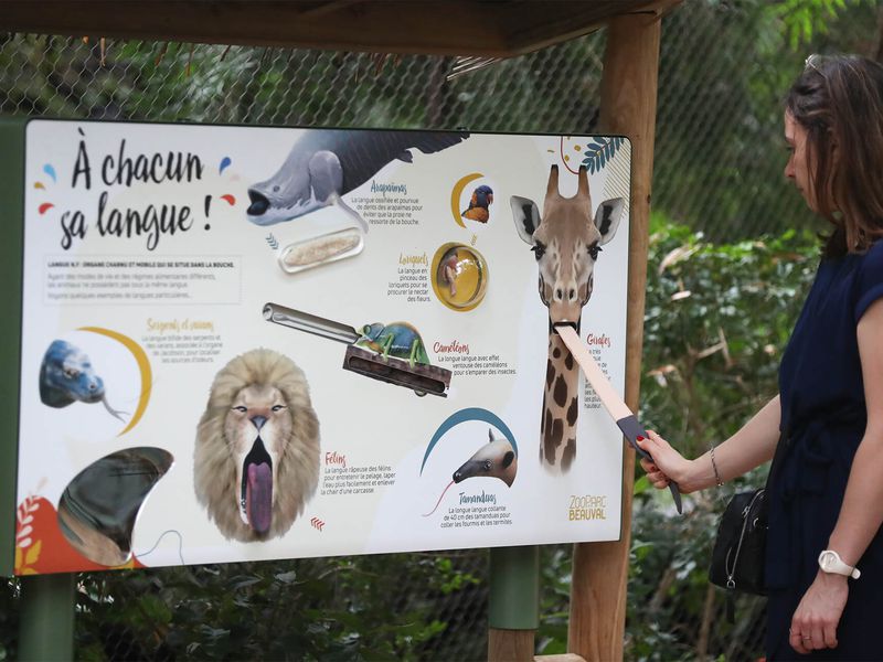 Panneau pédagogique des langues des animaux dans le Dôme Équatorial - Vacances en famille au ZooParc de Beauval