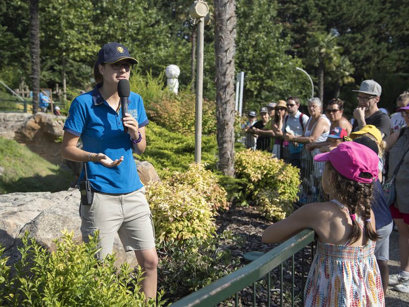 Animation pédagogique au micro - ZooParc de Beauval