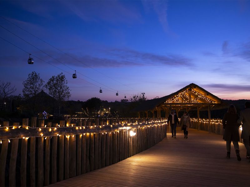 Beauval sous la nuit et les illuminations de Noël, avec la télécabine en fond - Venir en famille - Saison hiver - ZooParc de Beauval