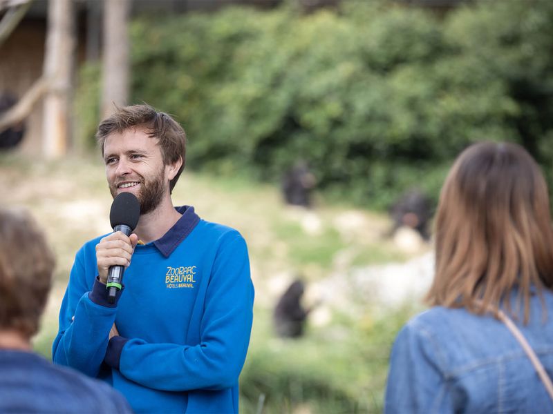 Échange avec un animateur pédagogique devant les gorilles - Venir en famille - Saison hiver - ZooParc de Beauval