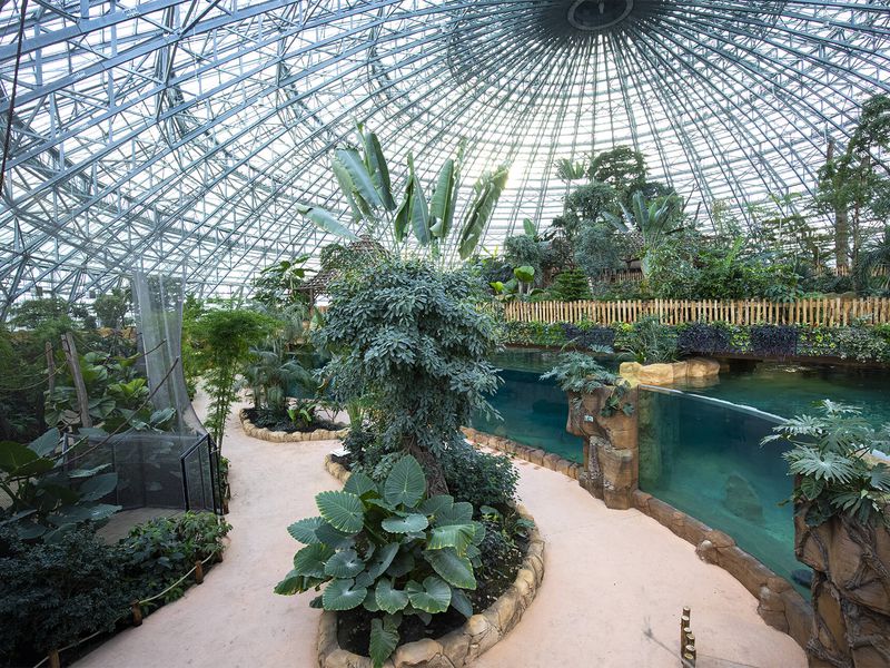 Vue de l'intérieur du Dôme Équatorial - Venir en famille - Saison hiver - ZooParc de Beauval