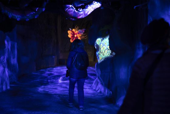 Visite guidée MonstroZoo