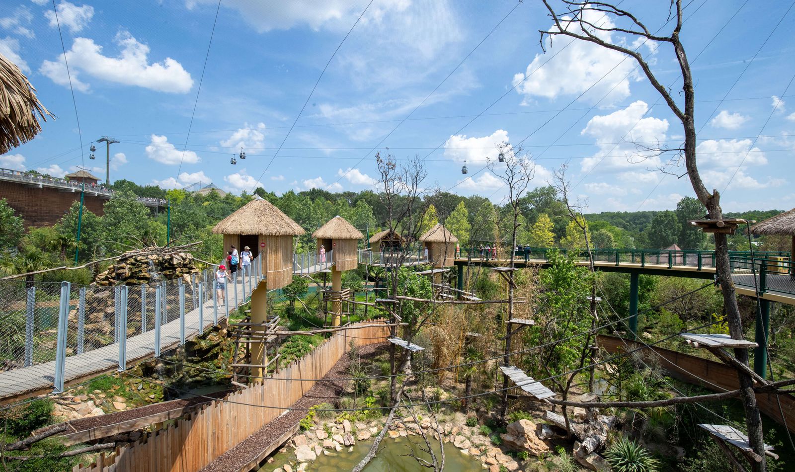 Grande volière sud-américaine - Territoire - ZooParc de Beauval