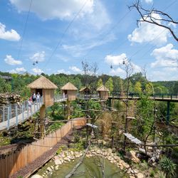 Grande volière sud-américaine - Territoire - ZooParc de Beauval